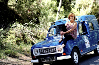 Renault AUTRE 4L FOURGONETTE image