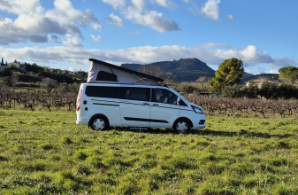 Ford TRIGANO Panama P54 image