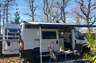 Fiat CHAUSSON V594MAX ROAD LINE VIP image