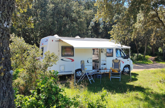 Citroën  FLEURETTE Le grebe image