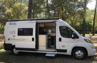 Fiat MC LOUIS MENFYS Yearling 3 image