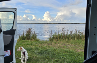 Renault FONT VENDOME TRAFIC  image