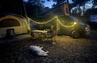 Volkswagen AUTRE Transporter T6 image