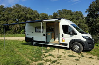 PEUGEOT BRAVIA MOBIL SWAN image