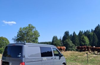 Volkswagen TRANSPORTEUR T6 image