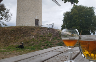 FORD FONT VENDOME EVASION image