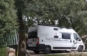 Fiat MC LOUIS Yearling  image