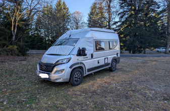 Fiat BENIMAR B100 UP image