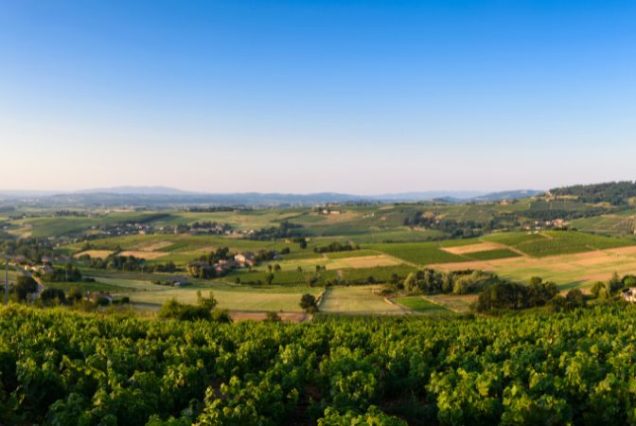 road-trip-route-beaujolais-depart-lyon