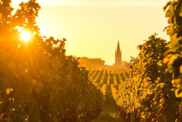 road-trip-van-bordeaux-vignes