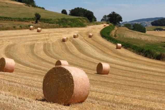 road-trip-monts-du-lyonnais-depart-lyon-la-chapelle-sur-cois