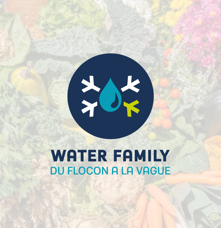 Atelier - La roue de l'alimentation